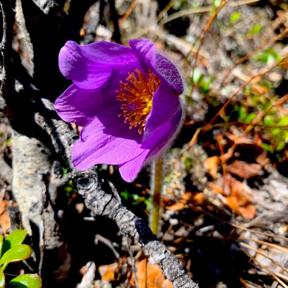 Meet your Posher, Tia